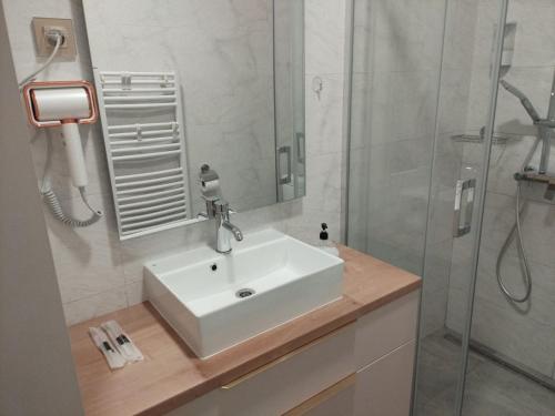 a bathroom with a sink and a shower at Apartment Centrum - Free private parking in Novi Sad