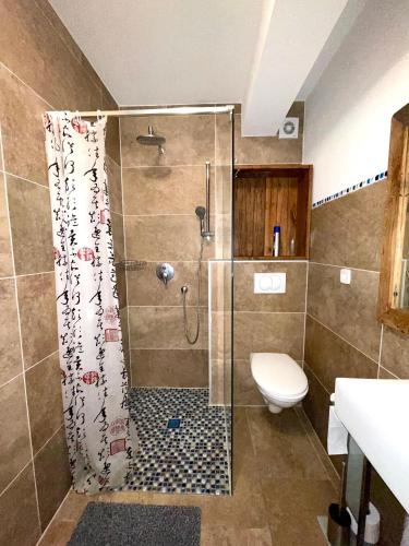 a bathroom with a shower with a toilet and a sink at Bajic Apartmani in Seline