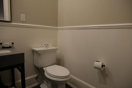 a bathroom with a white toilet and a sink at Mon Bijou in Oconomowoc