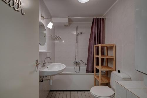 un bagno con lavandino, WC e doccia di Amelander Kaap 117 a Hollum