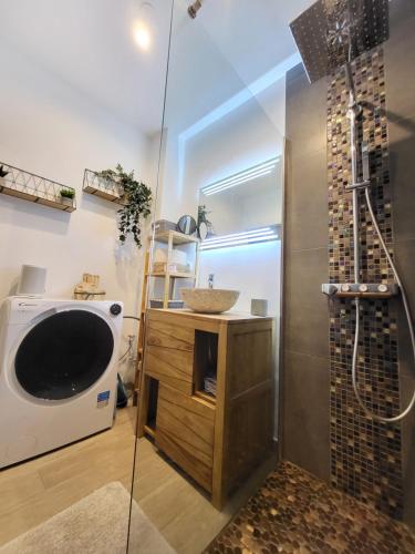 une salle de bain avec un lavabo et une douche dans l'établissement Le temps d'un instant, à Salon-de-Provence