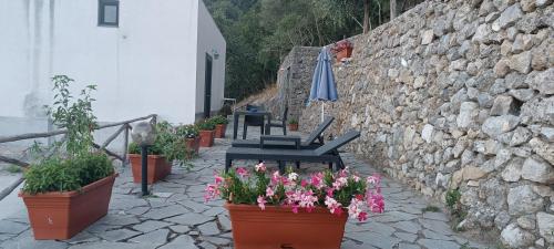 A garden outside Le Finestre di Amalfi