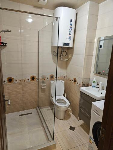 Un baño con ducha, inodoro y lavabo. en ApartHotel Calypso in Orbi, en Batumi