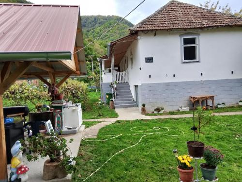a house with a yard with a garden hose at seosko turisticko gazdistvo milanovic zuc in Žuč