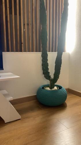 a green plant in a pot sitting on a floor at Casa del sole in Nova Siri Marina