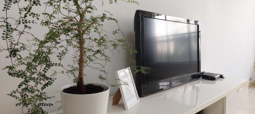 a tv sitting on a table next to a plant at הנביאים 1 נתניה Naveim apartment in Netanya
