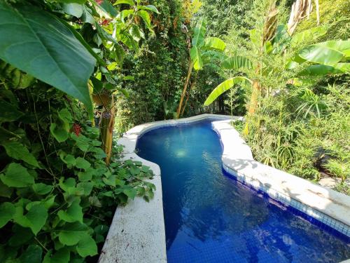 a swimming pool in the middle of a garden at Eco Hotel Tahawi in Ajijic