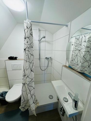 a bathroom with a shower and a toilet and a sink at Großzügiges Apartment am Rhein in Koblenz-Neuendorf in Koblenz