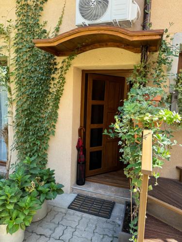 an entrance to a building with a door and plants at Studio Rezistenta in Făgăraş