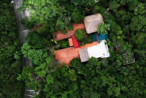 an overhead view of a house in the forest at Villa Amable, Lujo entre Selvas y Lagunas in Akumal