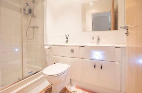 a bathroom with a toilet and a sink and a shower at COSY RIVERVIEW-LONDON EXCEL CENTRE-O2 ARENA in London