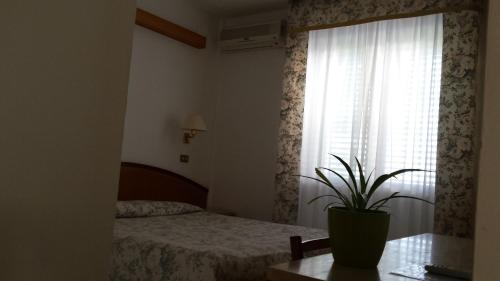 サン・ドミノにあるHotel Le Violeのベッドルーム1室(ベッド1台付)、植物のある窓が備わります。