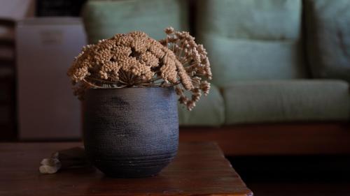 a black vase with a plant in it on a table at Rebeccu Arte e Ospitalità - Ostello in Rebeccu