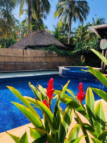 a resort swimming pool with red flowers in the foreground at Finca Escondida in Palomino
