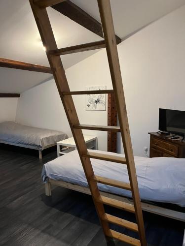 Cette chambre dispose de lits superposés avec 2 lits et une échelle. dans l'établissement Le Thiers I, à Pont-à-Mousson