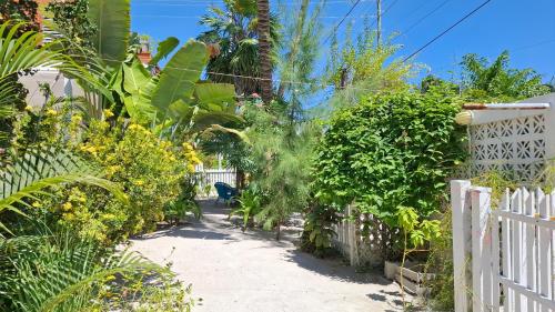 a garden with a white fence and many plants at Amanda's Place Casa Amancer - sea view, pool and tropical garden in Caye Caulker
