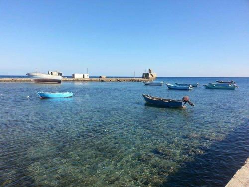 a group of boats sitting in the water at Villa Carimo in Quseir