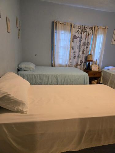 a bedroom with two beds and a window at Eve's Rockaway Villa in Alligator Pond Village