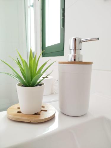 a plant sitting on a bathroom counter next to a faucet at Bungalow Capri Maspalomas in San Bartolomé