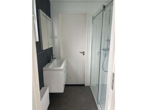 un bagno con lavandino e doccia in vetro di Chalet in Enkhuizen with Swimming Pool a Enkhuizen