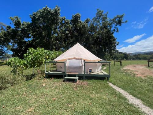 a white tent sitting in a field in the grass at North Shore Glamping Camping Laie, Oahu, Hawaii in Laie