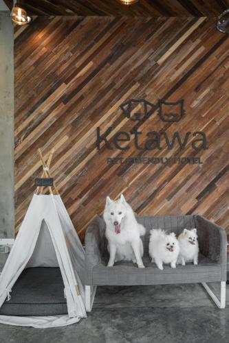 Domácí mazlíčci ubytovaní s hosty v ubytování Ketawa Pet Friendly Hotel