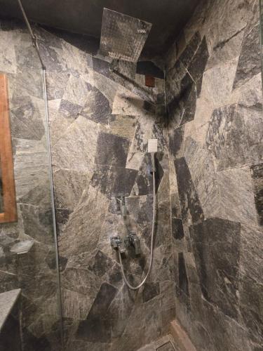 a bathroom with a shower with a glass door at Ceylon Resort Wilpattu in Wilpattu