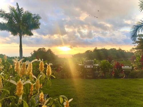 a sunset in a yard with a grill and a palm tree at Central Oceanview Modern Cozy 3 Bed House in Kailua-Kona