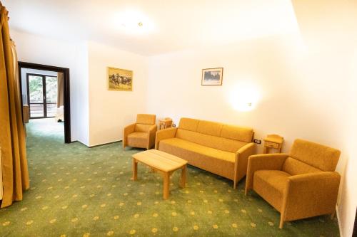 Χώρος καθιστικού στο Hotel Casa Viorel jacuzzi & saunas