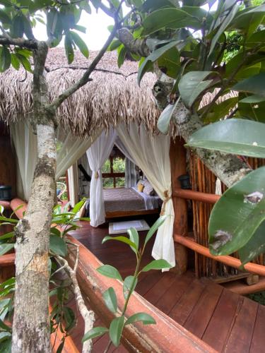 ein Zimmer in einem Baumhaus mit einer Hängematte in der Unterkunft Evamayah in Leona Vicario