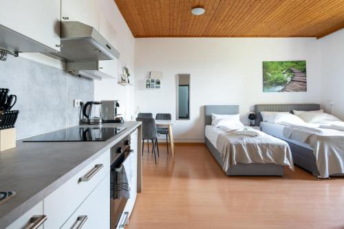 a kitchen and living room with a bed in a room at COY Apartments Leoben - Stay Comfortable & Work Smart in Leoben