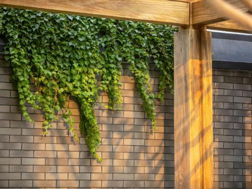a green ivy on the side of a building at Beijing Renjoy Hotel in Beijing