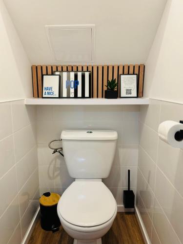 La salle de bains est pourvue de toilettes et d'une étagère avec des livres. dans l'établissement Le POP au 17, appartement cosy dans le centre historique de Rodez, à Rodez