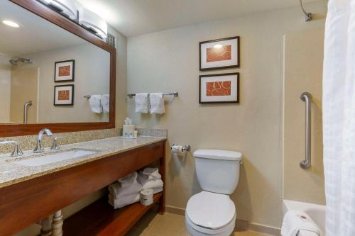 Comfort Suites Near Potomac Mills Image