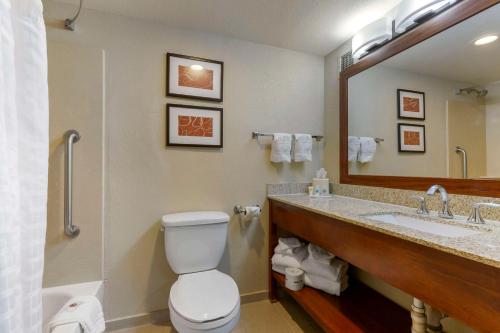 a bathroom with a toilet and a sink and a mirror at Comfort Suites Near Potomac Mills in Woodbridge
