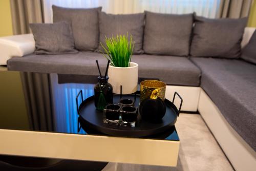 a coffee table in front of a couch at Oasis in Struga