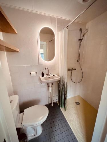 a bathroom with a toilet and a sink and a shower at Aan de dijk in Dirkshorn