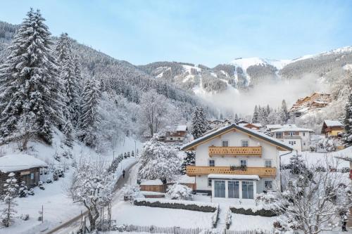 Chalet "Villa Marlene" photo 3