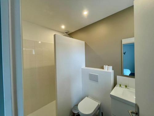 une salle de bain blanche avec des toilettes et un lavabo dans l'établissement Séjour Art Nouveau au coeur de Wazemmes, à Lille