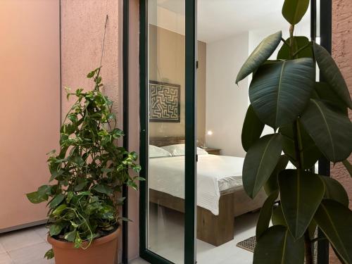 a bedroom with a bed and a mirror and plants at TAM Serviced 2BDR Apartment City Center No6 in Tirana