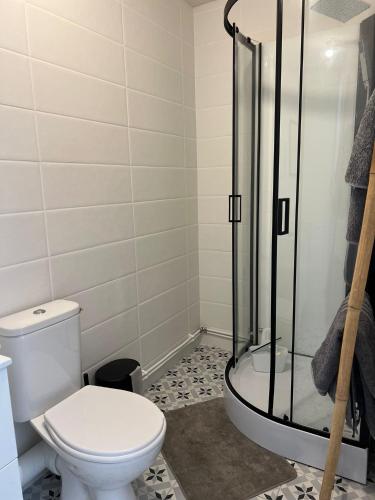 une salle de bain avec toilettes et douche dans l'établissement Agréable T2, proche plage G, à Rosendaël