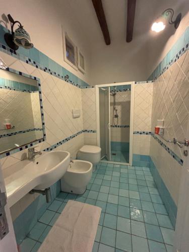 a bathroom with a sink and a toilet and a shower at Villa La Rosa in Filicudi