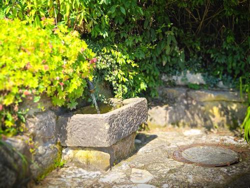Κήπος έξω από το Casa-Philipp, mediterrane, lichtdurchflutete, stilvolle Ruhe-Oase, ebenerdig, barrierefrei, mit Garten, Terrasse, Grill und Sauna im Naturparadies Fränkische Schweiz