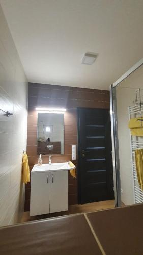 a bathroom with a sink and a mirror at Apartmány Římov in Římov