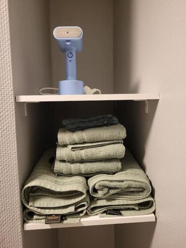 un porte-serviettes avec un tas de serviettes et un sèche-cheveux dans l'établissement Charmant appartement en cœur de ville, à Armentières