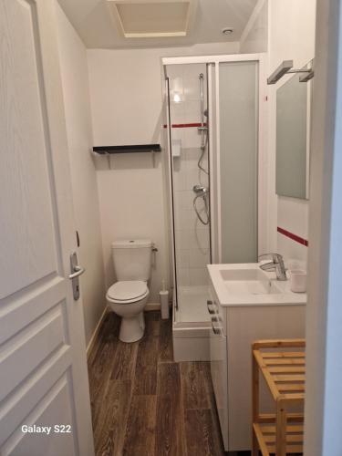 une salle de bain avec toilettes, douche et lavabo dans l'établissement Duplex en centre ville, à Villers-Cotterêts
