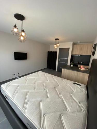 Cette chambre comprend un grand lit blanc et une cuisine. dans l'établissement Superbe studio avec terrasse, à La Roche-sur-Foron