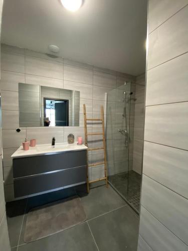 une salle de bain avec un lavabo, un miroir et une douche dans l'établissement Superbe studio avec terrasse, à La Roche-sur-Foron