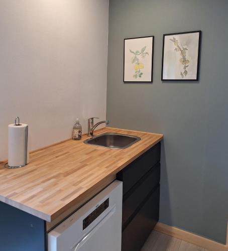 a bathroom with a sink and two pictures on the wall at EngholmBB in Odense