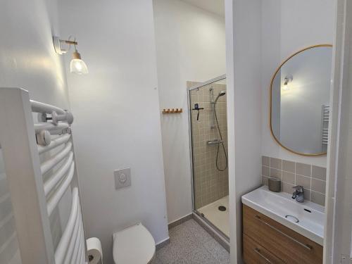 a bathroom with a toilet and a sink and a mirror at Elegante maison avec un beau jardin, à 150 m de la mer, climatisation, Wifi ... in Saint-Mandrier-sur-Mer
